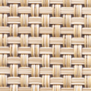 PLYNYL PLINIL